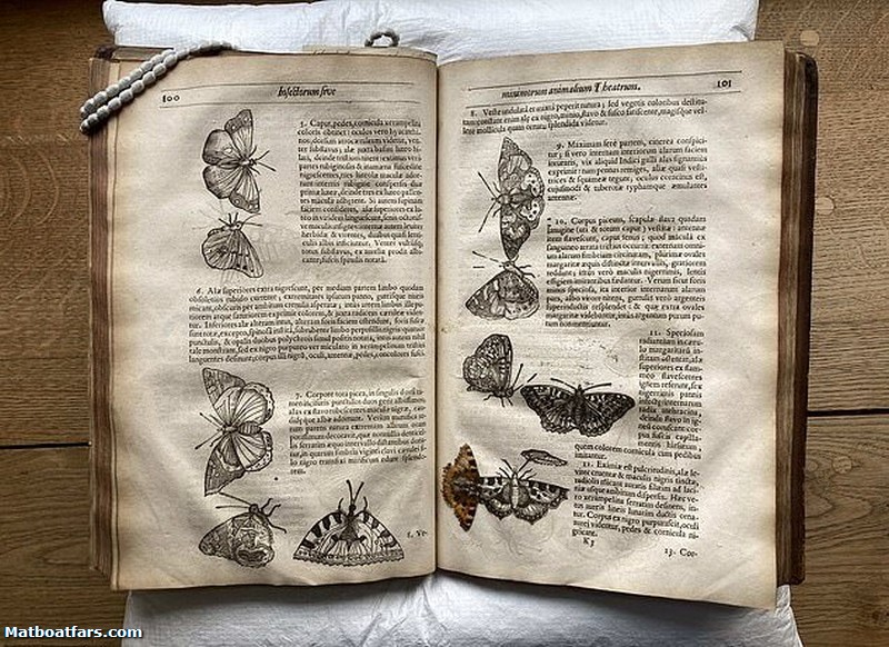 کشف یک پروانه ۴۰۰ ساله در میان صفحات کتابی قدیمی