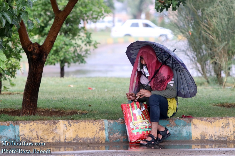 شیراز به روایت باران تابستانه