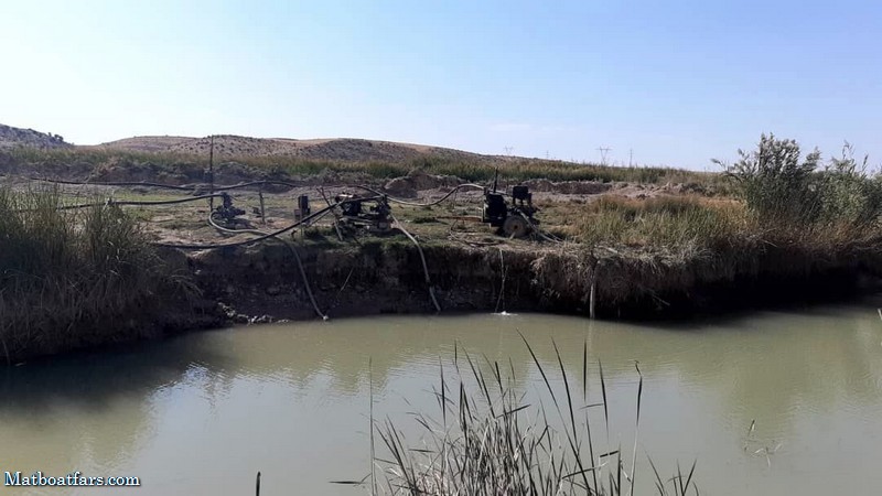 ماموران و همیاران محیط زیست فارس،ماهیان را در رود قره‌آغاج رها کردند