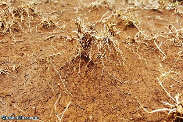 بحران خاک در کشور