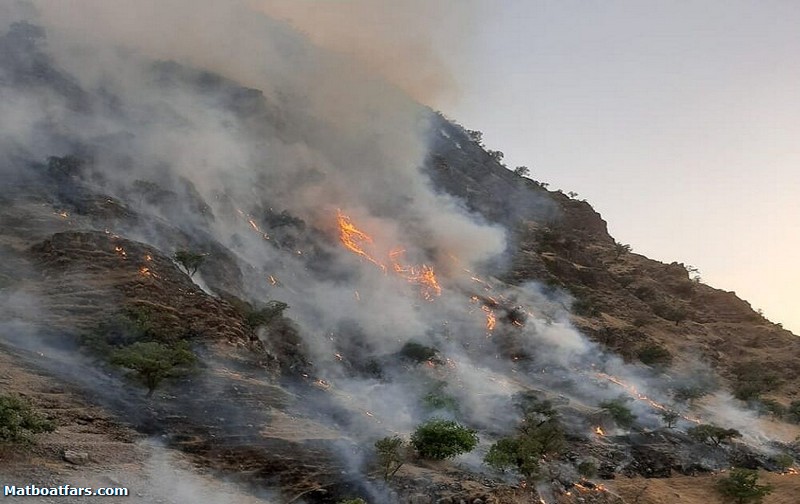 ارتفاعات پل گچی شیراز در آتش سوخت