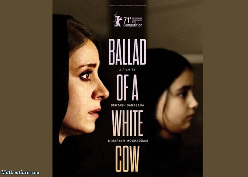 «قصیده گاو سفید» بهترین فیلم جشنواره جنایات و مکافات استانبول